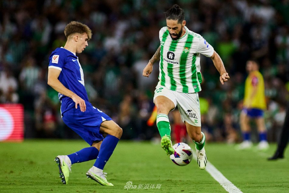 年轻球员追 年轻球员追