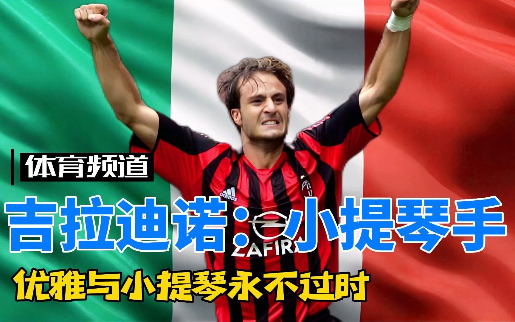 职业权威的 职业权威的